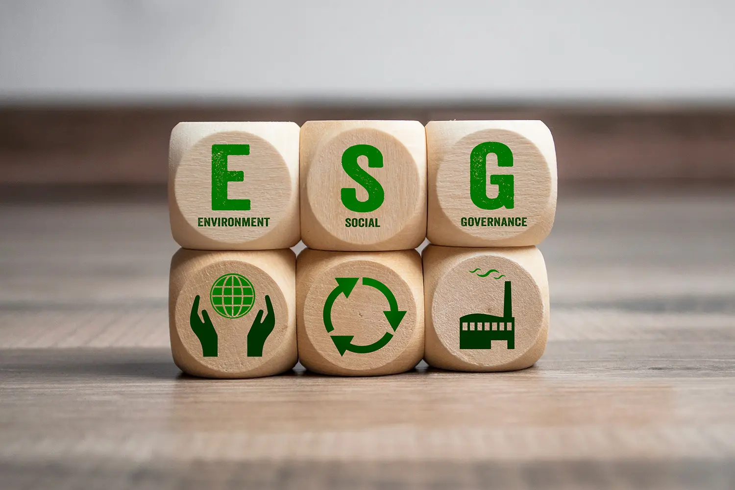 Stablet træblokke ved siden af hinanden med bogstaverne "E", "S" og "G" malet i grønt 